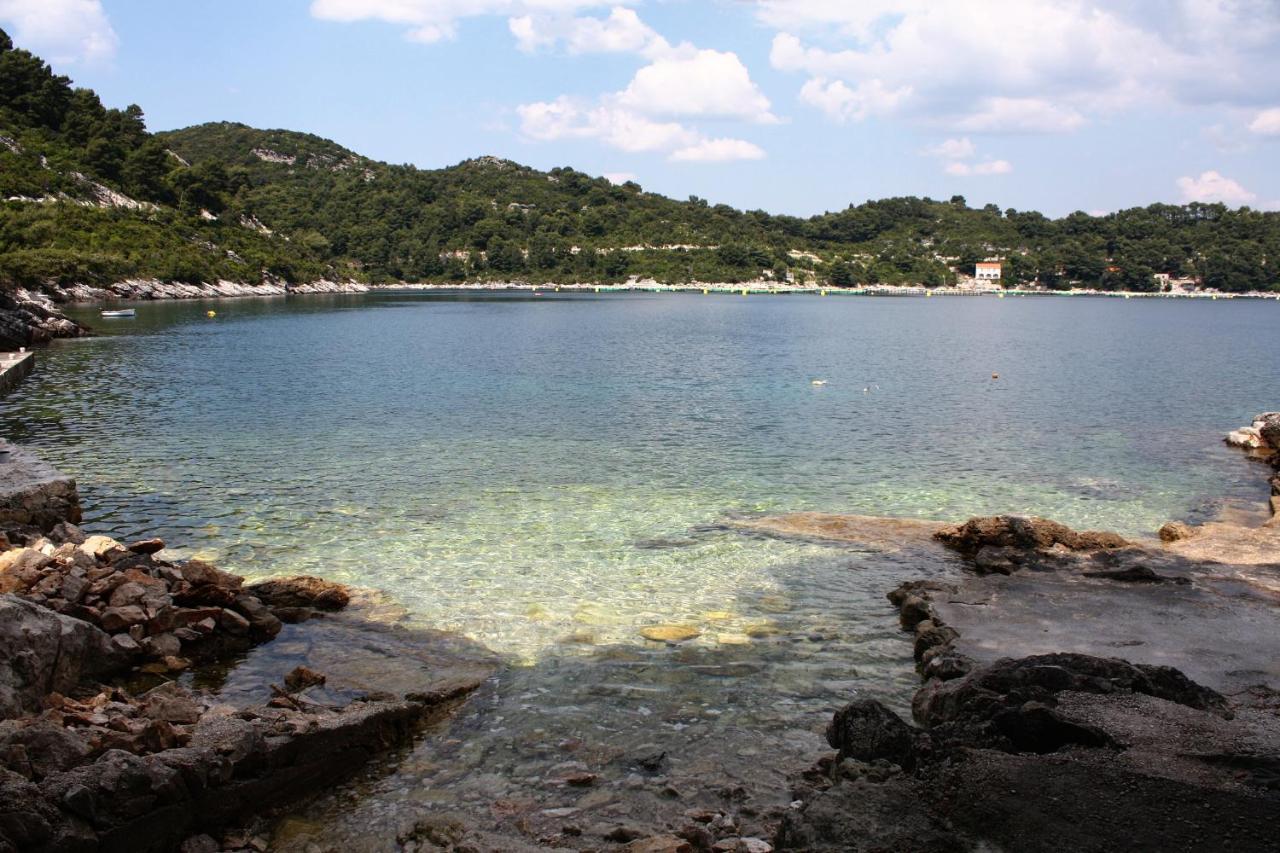 Apartments By The Sea Sobra, Mljet - 4908 Babino Polje Exterior photo